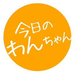 今日のわんちゃん